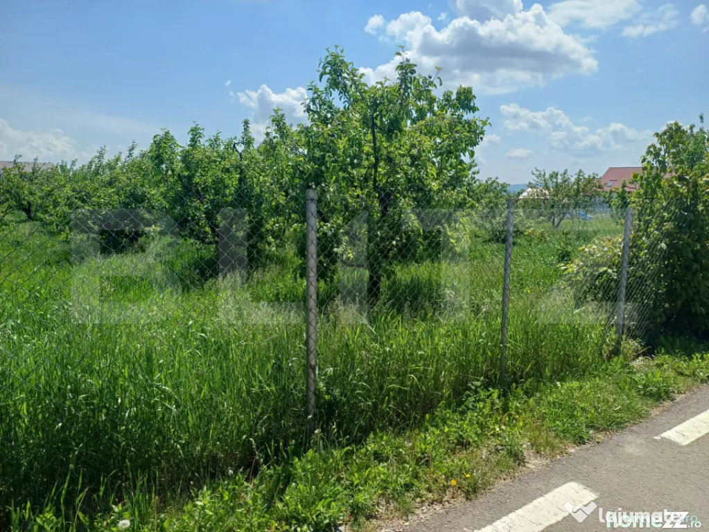 Teren de vanzare intravilan, 72 ari, zona Salcea