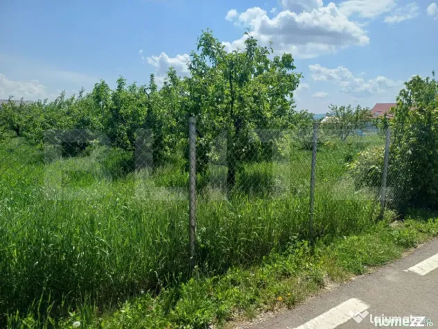 Teren de vanzare intravilan, 72 ari, zona Salcea