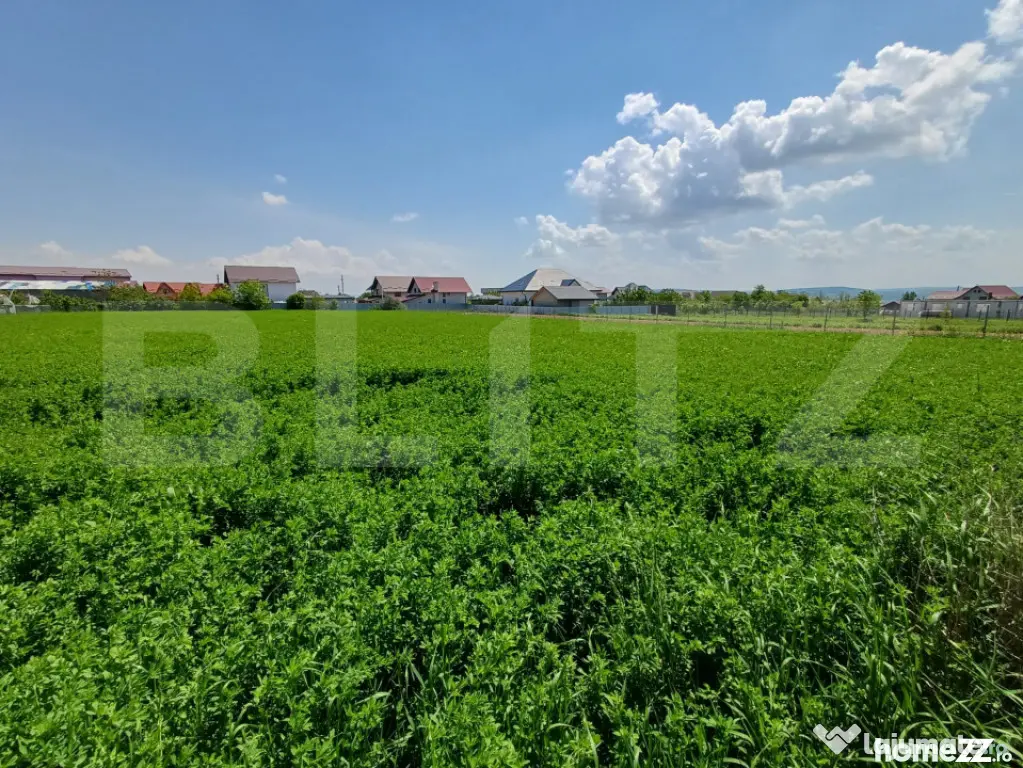 Teren de vanzare intravilan, 72 ari, zona Salcea
