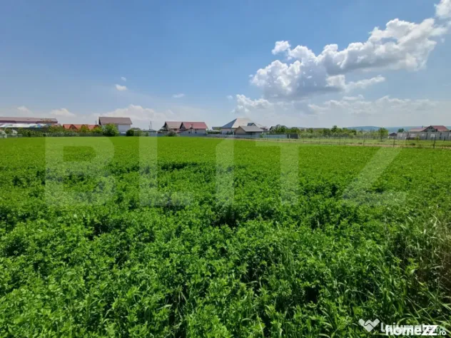 Teren de vanzare intravilan, 72 ari, zona Salcea