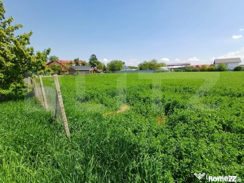 Teren de vanzare intravilan, 72 ari, zona Salcea