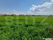 Teren de vanzare intravilan, 72 ari, zona Salcea 