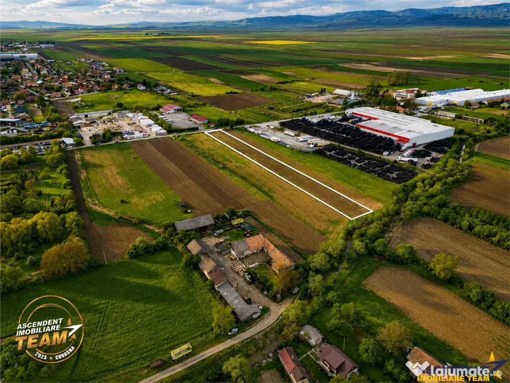 FILM! 5.000 mp teren, la marginea orasului Targu Secuiesc, a