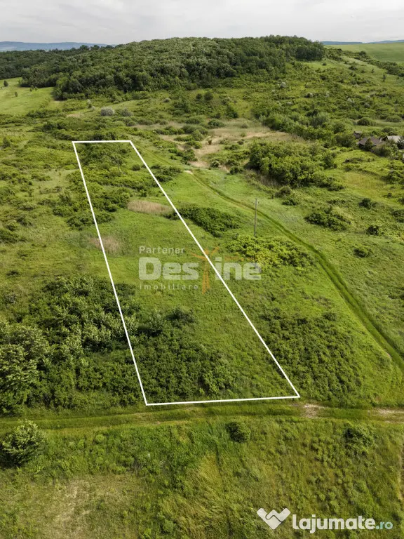 COMISION 0% Valea Ursului, TEREN EXTRAVILAN 7172 mp, 16 euro