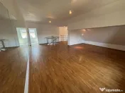 Vila zona Exclusivista - Iancu Nicolae - Complet Renovata 20 
