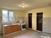 Casa parter + pod, 3.309 mp teren, Com. Pielesti 