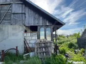 Casa parter + pod, 3.309 mp teren, Com. Pielesti 