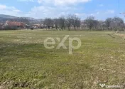 Teren intravilan de vânzare – 3.392 mp – Gorganu, Căli 