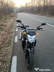 fz1 