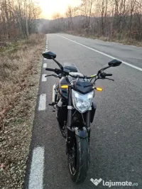 fz1 