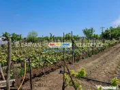 Teren in Poienari Apostoli, 21 E/mp, Avantajos, DN1, 34.500 