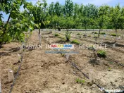Teren in Poienari Apostoli, 21 E/mp, Avantajos, DN1, 34.500 