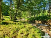 Teren Intravilan 12000 mp, Cascada Urlatoarea, proiect aprob 