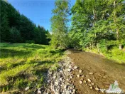 Teren Intravilan 12000 mp, Cascada Urlatoarea, proiect aprob 