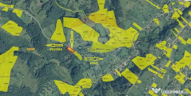 Teren extravilan, 2000 mp, Sat Peștera (com Moieciu)