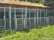 Zona Voluntari Imobil 1316 mp cu teren 2500 mp pt Camin B... 