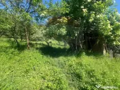 Băicoi | Teren 1000 mp + clădire din zidărie, cu utili...
