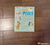 Carte cu 63 ferestre 