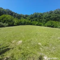 Teren extravilan Viisoara 