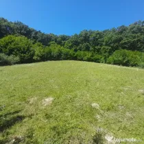 Teren extravilan Viisoara 5000mp