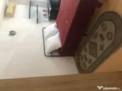 Timpuri noi tineretului piscului etaj 1 