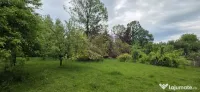 Teren de vanzare in Breaza, Nistoresti 