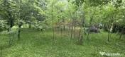 Teren de vanzare in Breaza, Nistoresti 