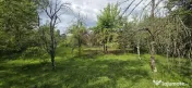 Teren de vanzare in Breaza, Nistoresti 