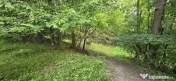 Teren de vanzare in Breaza, Nistoresti 