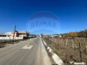 Teren intravilan Movilita, 2700mp 
