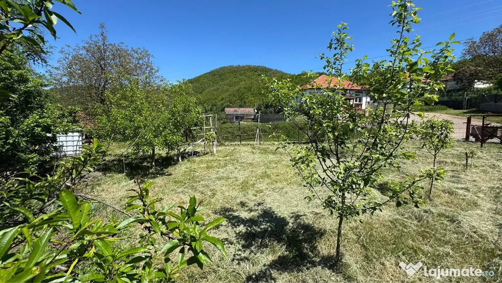 Teren Intravilan in mijlocul satului Magura-Toplita