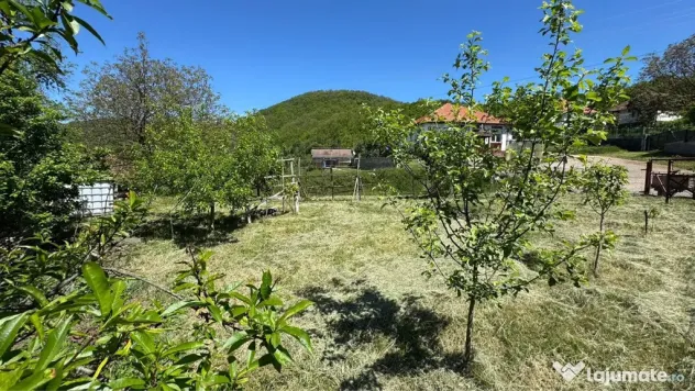 Teren Intravilan in mijlocul satului Magura-Toplita