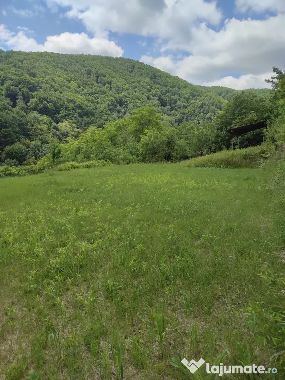 Teren pentru investitie in Sarata Bai Bacau 4430mp