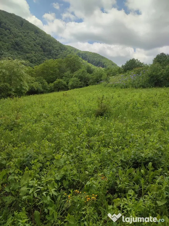 Teren pentru investitie in Sarata Bai Bacau 4430mp