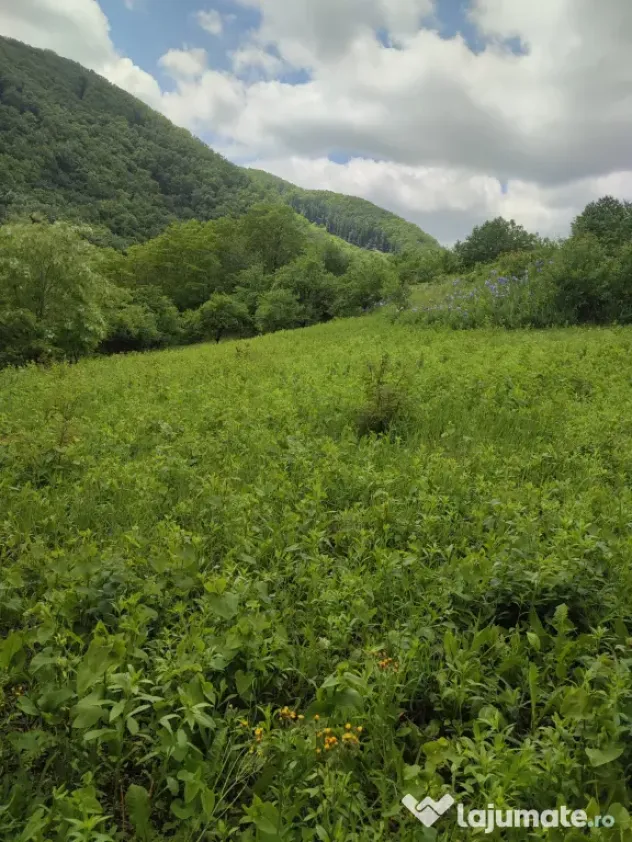 Teren pentru investitie in Sarata Bai Bacau 4430mp