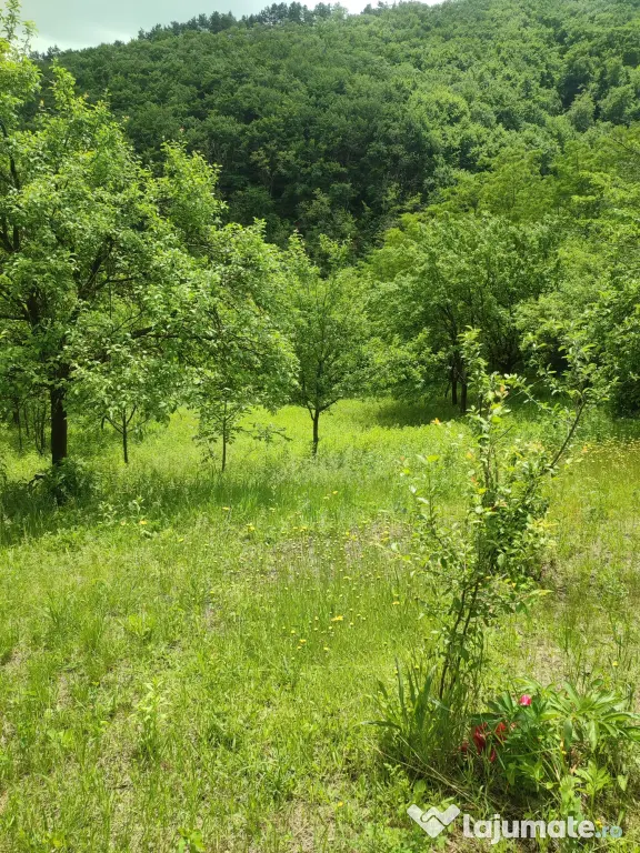 Teren pentru investitie in Sarata Bai Bacau 4430mp