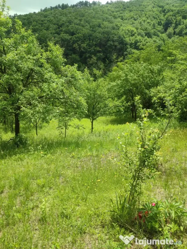 Teren pentru investitie in Sarata Bai Bacau 4430mp