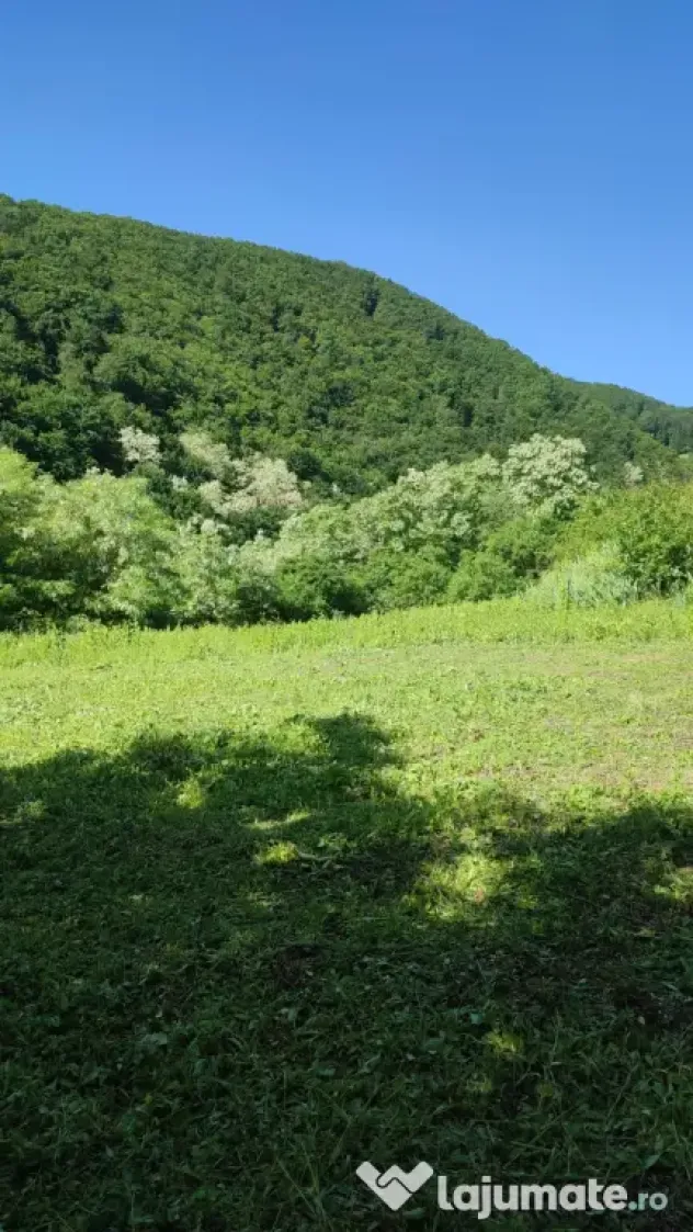 Teren pentru investitie in Sarata Bai Bacau 4430mp