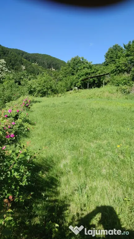 Teren pentru investitie in Sarata Bai Bacau 4430mp