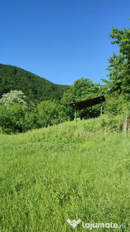 Teren pentru investitie in Sarata Bai Bacau 4430mp