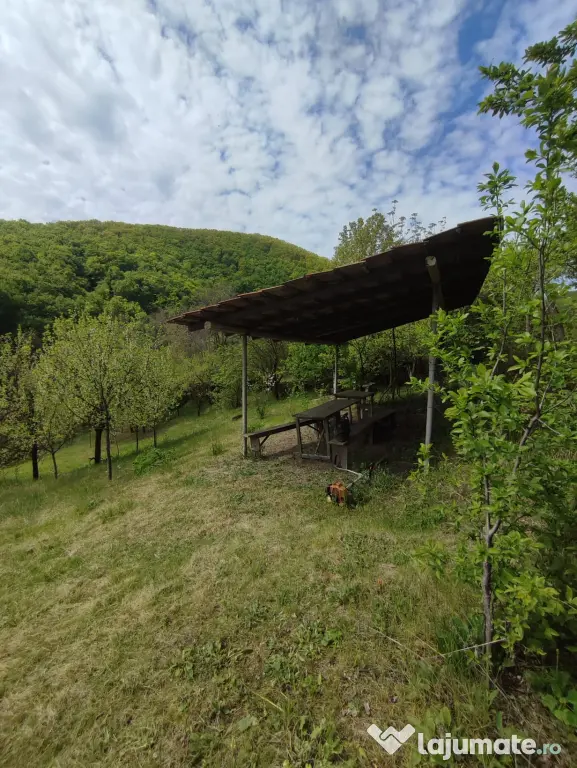 Teren pentru investitie in Sarata Bai Bacau 4430mp