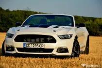 Ford Mustang California Special GT