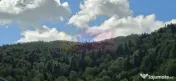 Casa de vanzare cu 2 apartamente in Azuga 