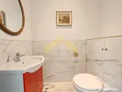Casa la sol 5 camere de Vladimirescu