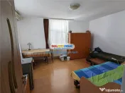 Nerva Traian, 1 apartament si 2 gars. in vila, SU 133 mp, te