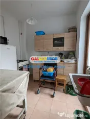 Nerva Traian, 1 apartament si 2 gars. in vila, SU 133 mp, te