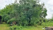Teren Tancabesti deschidere la DN1/ Soseaua Bucuresti-Plo...
