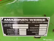 Bichonii de vânzare 