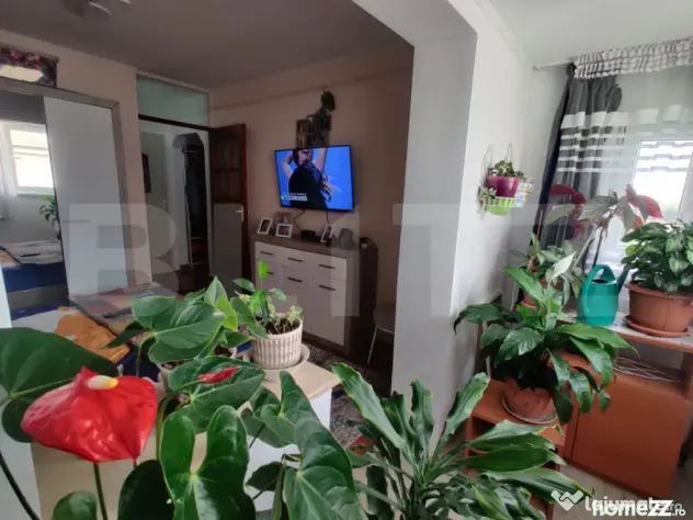 Apartament PC, 3 camere, 66 mp, zona Dragoș Vodă - Oradea (Bihor)