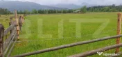 Teren extravilan, 6200 mp, zona Saru Dornei - Vatra Dornei 